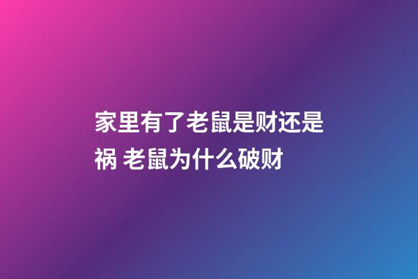 家里有了老鼠是财还是祸 老鼠为什么破财